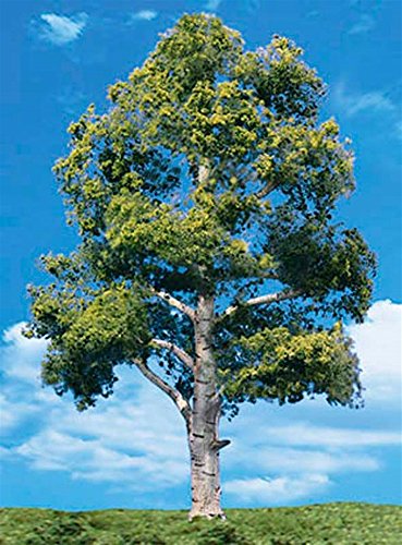 Classics Tree, Waters Edge 1.25-2" (5)