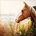 Himalayan Nature 100% Natural Himalayan Rock Salt Block - Rich Mineral Salt Licking Brick for Animals, Horses & Deer Ideal for Animal Health & Nutrition | 5-8 LBS