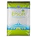 SaltWorks Ultra Epsom Bath Salt, Unscented, Fine Grain, 50 Pound Bag