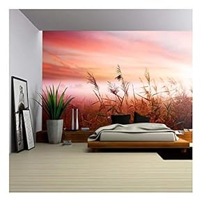 Foggy Landscape.Early Morning Mist. - Removable Wall Mural | Self-Adhesive Large Wallpaper - 66x96 inches