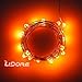 LIDORE Micro LED 20 Orange String Lights with Timer, Battery Operated on 7.87ft Long Silver Color Ultra Thin String Wire
