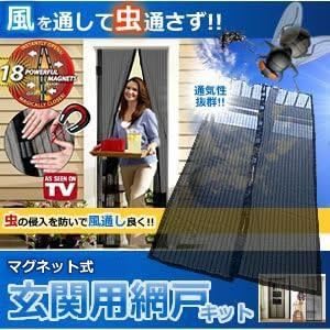 Amazon Co Jp 虫の侵入を防いで風通し良く 玄関用 網戸 キット マグネット搭載 風を取り込み 虫を入れさせない 換気 部屋 Kb Genami ホーム キッチン