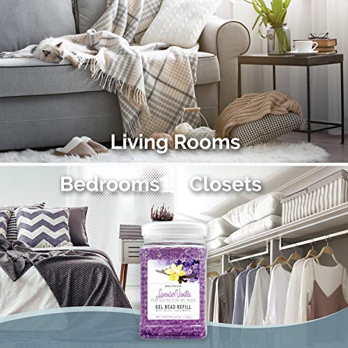 Smells Begone Odor Eliminator Gel Bead Value Pack - Air Freshener - Eliminates Odors in Bathrooms, Pet Areas, Boats, RVs and Cars - Made with Essential Oils - 2 x 12 Ounce + 48 Ounce Refill (Purple)