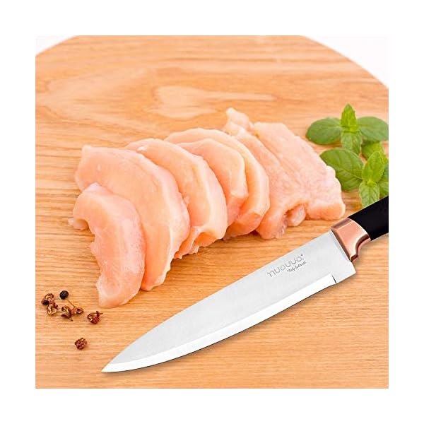 Kitchen Knife Block Set Copper 5 Piece Set with Knives Clear Acrylic Block Stainless Steel Blades - by Nuovva