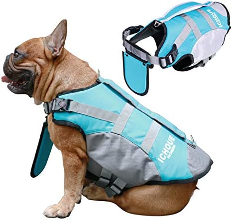 english bulldog swimming vest