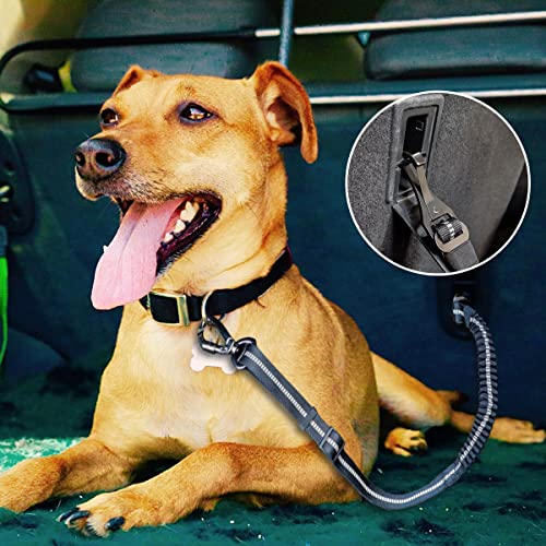 Dog Seatbelt Harness, 2in1 Seat Belt Car Harness for Pets Adjustable