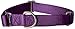 PetSafe Adjustable Martingale Collar - Only Tightens When Dogs Pull, Prevents Slipping Out - Helps with Strong Pullers, Increased Control - Alternative to Choke Collar - 1