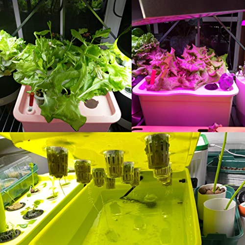 Homend Indoor Hydroponic Grow Kit with Bubble Stone, 11 Plant Sites