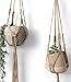 Mkono Small Macrame Plant Hangers Jute Hanging Planter 30 Inch (Fit Small Pot Up to 6 Inch) Indoor Wall Window Container Holder Basket Home Decor, 2 Packs