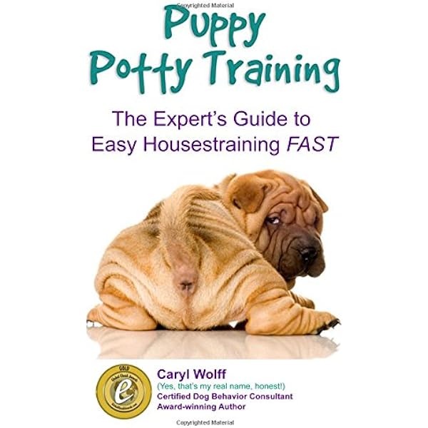 cesar potty training