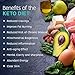 Ketone Test Strips 150ct - Test Your Ketosis Levels in 15 Seconds Using Urinalysis. Accurate Results to Guarantee You Lose Weight & Feel Great on a Ketogenic, Diabetic, Paleo or Low Carb Diet