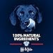 Fifi and Fido Natural Pet Shampoo - Soothing Dog Shampoo, Safe Cat, Small Dogs, & Puppy Shampoo, Natural Dog Shampoo Pet Wash, Hypoallergenic Dog Shampoo, Tearless Dog Shampoo, Itch Dog Shampoo, 16 ounce