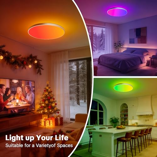 Laiebri Ceiling Light LED Ceiling Light, 24 W Diameter 30 cm, Smart RGBIC LED Kitchen Lamp with Remote Control, Works Compatible with App Control, Dimmable Lamp for Bedroom, Living Room