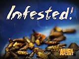 Infested! Season 2