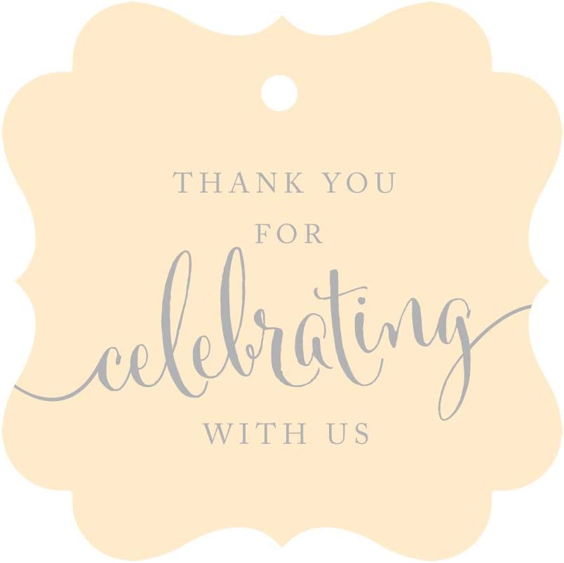 Andaz Press Fancy Frame Gift Tags, Thank You for Celebrating with Us, Pink, 24-Pack, for Baby Bridal Wedding Shower, Kids 1st Sweet 16 Quinceanera Birthdays, Anniversary, Graduation, Baptism, Gifts: Health & Personal Care