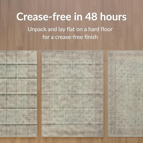 artyrugs Machine Washable Rug Rug, 240x330cm, 75% Recycled Cotton, Short Pile, Non-Slip Backing, Non-Shedding, Suitable for Bedroom, Kitchen, Hallway, Office, Large, Antique Sand
