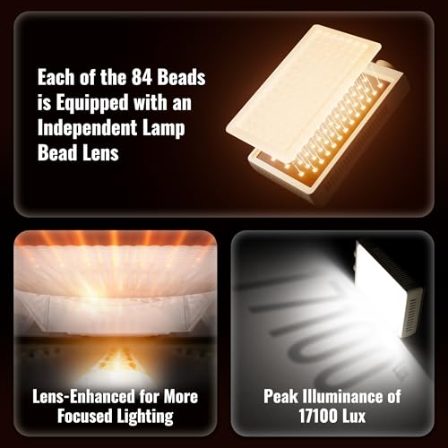 ZHIYUN FIVERAY M40 SE Combo [Official] LED Video Light, 17100 Lux, 2700–8500K, CRI≈95, TLCI ≥ 97, 84 LEDs, 250g, Portable Video Light for YouTube TikTok