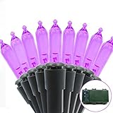 Lalapao M5 Battery Operated String Lights 100 LED Mini Fairy Christmas Lighting Decor Timer For Outdoor Indoor Garden Bedroom (Purple)