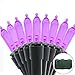 Lalapao M5 Battery Operated String Lights 100 LED Mini Fairy Christmas Lighting Decor Timer For Outdoor Indoor Garden Bedroom (Purple)
