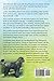 Bernedoodles. The Ultimate Bernedoodle Dog Manual. Bernedoodle care, costs, feeding, grooming, health and training all included.