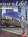 What Is Life? A Guide To Biology With Physiology - Instructors Edition, Third Edition by Jay Phelan (2015-05-04) 1464172242 Book Cover