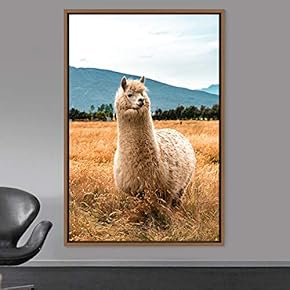 signwin Framed Canvas Wall Art Llama Animals Camels...