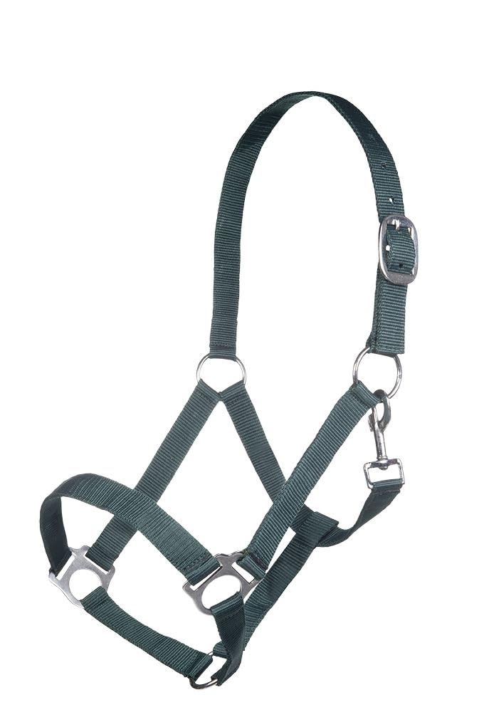 Posten Halter-10978 Halter 5900 Dark Green Warmblood