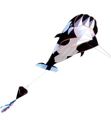 Cerf-Volant Turboprop Paul Günther - Avion Avec Hélice Et Poulie, 100m Corde, Pour Enfants Dès 6 Ans