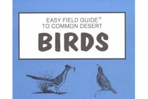 Easy Field Guide to Common Desert Birds (Easy Field Guides)