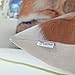 CaliTime Canvas Throw Pillow Cover Shell for Couch Sofa Home Decoration Animals Theme Wild Fox Sleeping 18 X 18 Inches