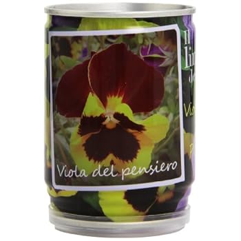 Il linguaggio dei fiori. Viola del pensiero