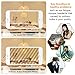 Vintage LED Edison Bulb 100W Equivalent 1100 Lumens, Dimmable 10W ST64 LED Filament Light Bulbs Warm White, E26 Medium Base, Pack of 6