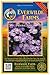 Everwilde Farms - 2000 Prairie Aster Native Wildflower Seeds - Gold Vault Jumbo Seed Packet