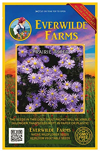 Everwilde Farms - 2000 Prairie Aster Native Wildflower Seeds - Gold Vault Jumbo Seed Packet Everwilde Farms - 2000 Prairie Aster Native Wildflower Seeds - Gold Vault Jumbo Seed Packet