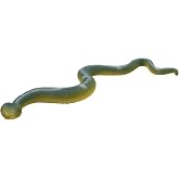 Bullyland Boa Constrictor Action Figure