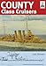 Shipcraft 19 - County Class Cruisers