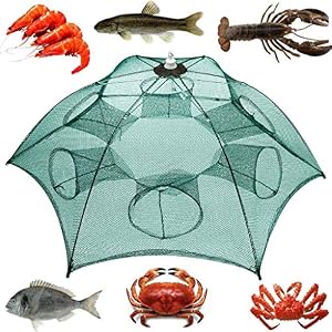 Wxcck Pêche Pliable Piège Net, 10 Trous Automatique Pêche De La Crevette Nette Cage Nylon Pliable Crabe Nasse Épervier…