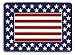 Large Plastic Serving Tray- Red, White and Blue Patriotic primary