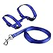 Pecute Pet Cat Lead Leash Halter Harness Kitten Nylon Strap Belt Safety Rope Adjustable Cat Dog Collar (Blue)
