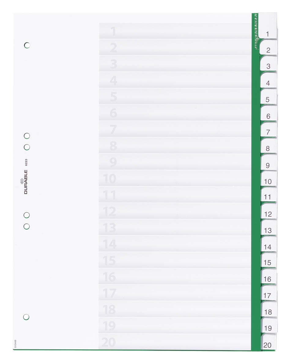 Durable 622305 Blank Index File with Sealed Tabs and 20 Insert Labels for A4 Sheets - Green