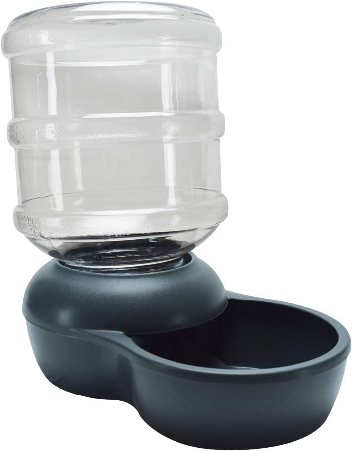 Pet Supplies : Aspen Pet Lebistro Cat and Dog Water Dispenser 4 Capacities : Pet Self Waterers : 