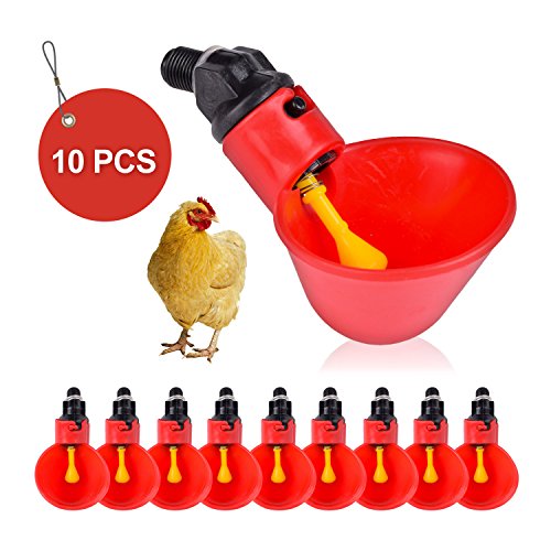 Flantor 10 Pack Of Automatic Chicken Waterer Drinker Cups Import