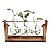 Dulcii Desktop Glass Planter Bulb Vase with Retro Solid Wooden Stand and Metal Swivel Holder for Hydroponics Plants Decor for Home Office Garden Wedding, Terrarium Wooden Plant Stand, 3 Bulb Vase