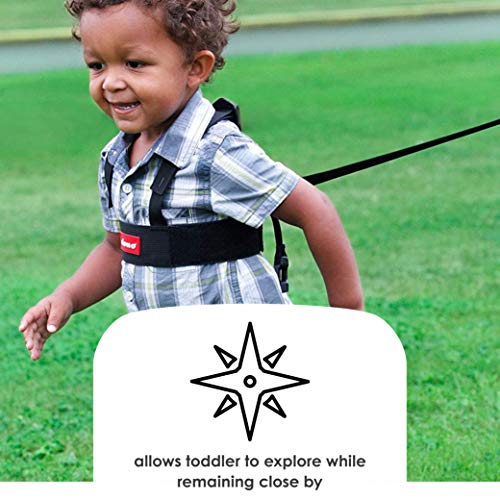 1 Diono+Steps+Child+Harness+Children