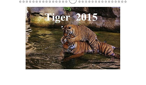 Tiger 15 Wandkalender 15 Din Q Hennig Ja Rg Amazon Com Books Tiger 15 Wandkalender 15 Din Q Hennig Ja Rg Amazon Com Books