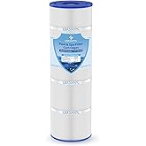 Leadpool Jandy CS100 Pool Filter Cartridge Replacement for Unicel C-8410,PJANCS100,Filbur FC-0821,100 Sq.ft,1 Pack