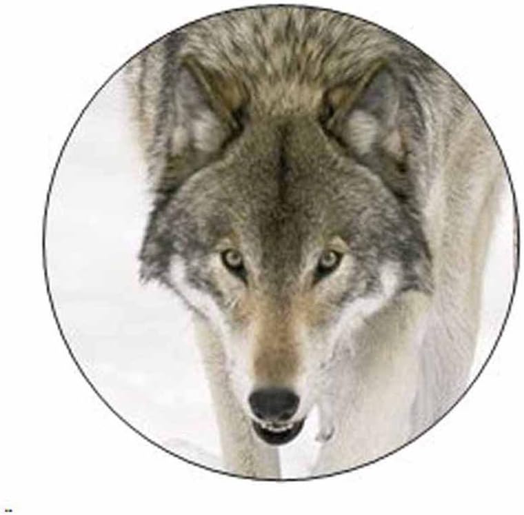 Amazon Com Wolf Face Stickers Gift Bag Or Envelope Seals Wolves Animal Theme Stationery Design Party Favor Supplies Set Of 24 Office Products