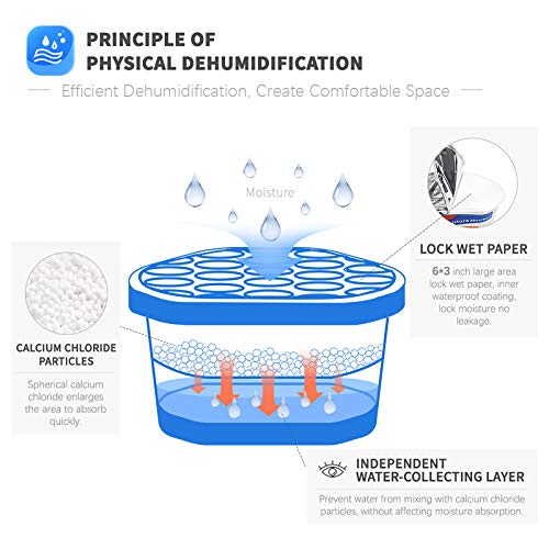 1 Moisture+Vacplus+Unscented+Moisture+Absorber+Dehumidifier