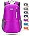 Venture Pal 25L Travel Backpack - Durable Packable Lightweight Small Backpack for Women Men