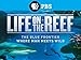Life on the Reef